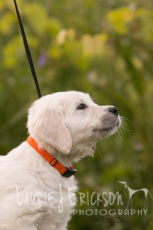 IMG-0409