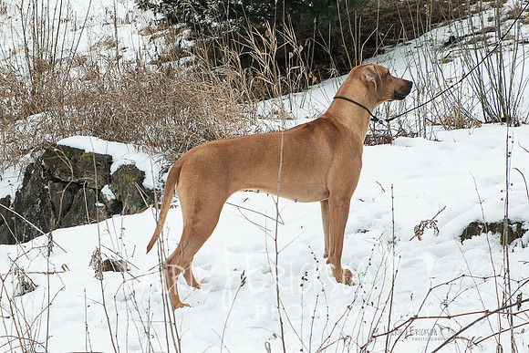 IMG-2283