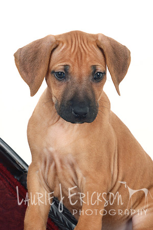 IMG_8485