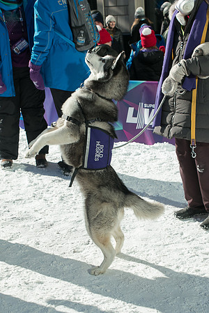 IMG-3381