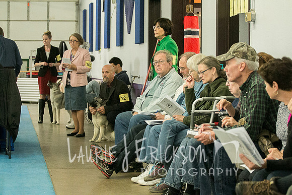 IMG-5880