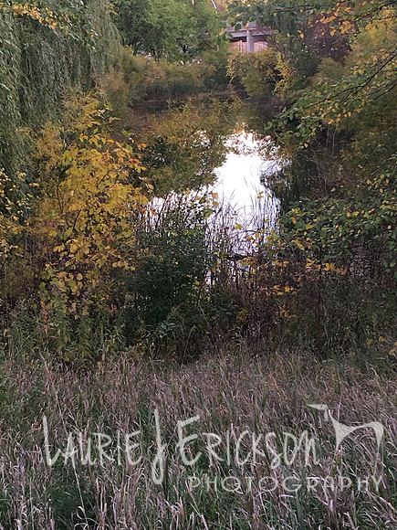 2021-10-21 18.10.49