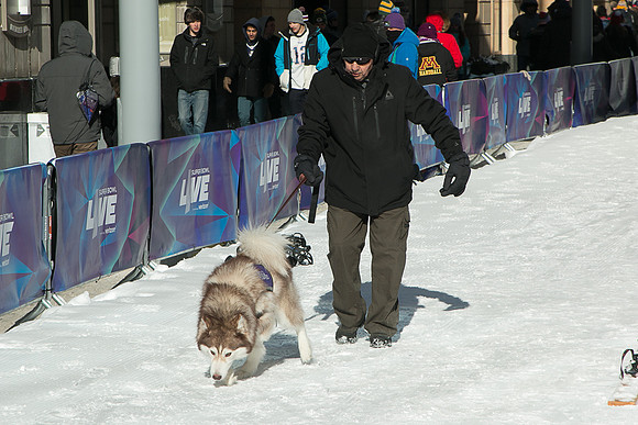 IMG-3309