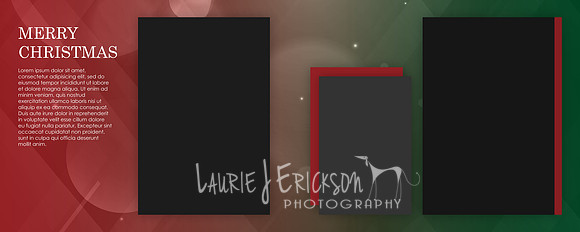 Photobacks Customized Omni Portfolio Template