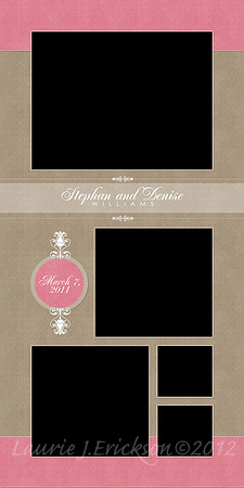 E 10x20 Pink tan Collage