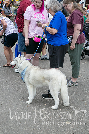 IMG_5419