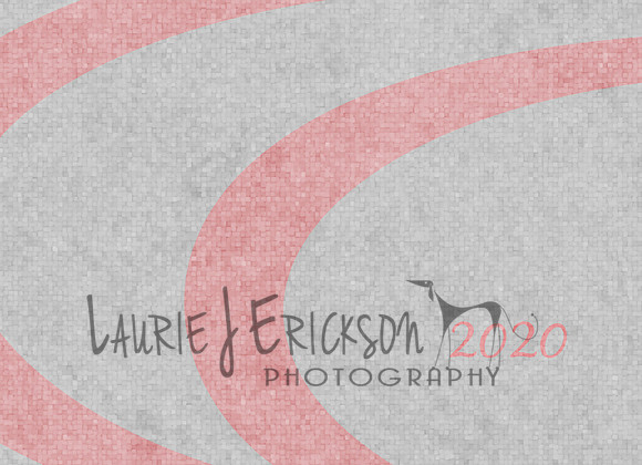 HS2-5x7-card-03-back