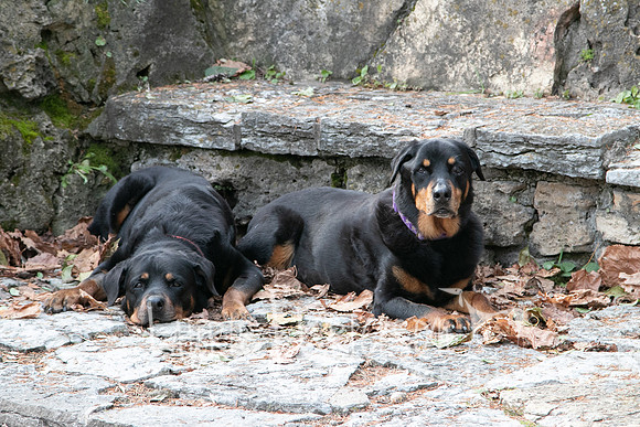 IMG_0053