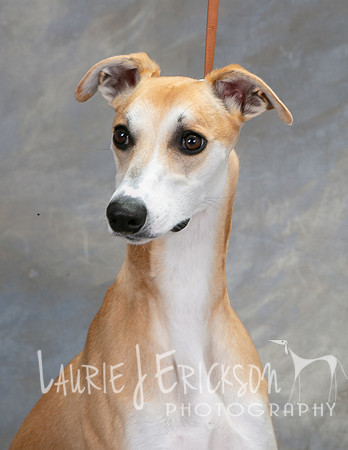 IMG_1844