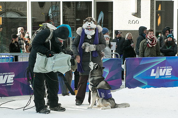 IMG-3023