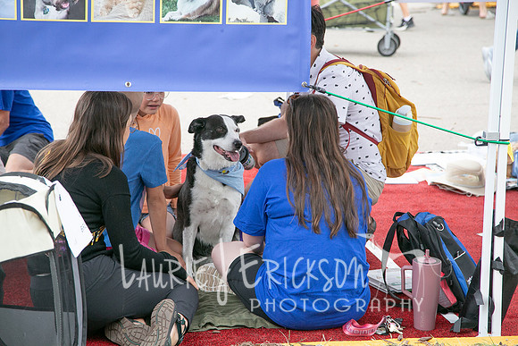 IMG_5544