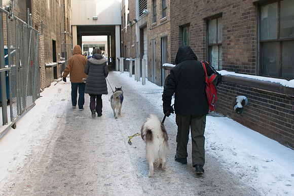 IMG-2802
