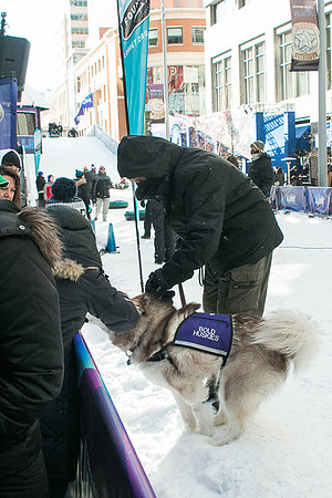 IMG-2917