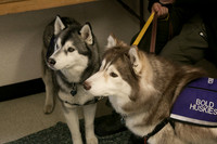 IMG-2782