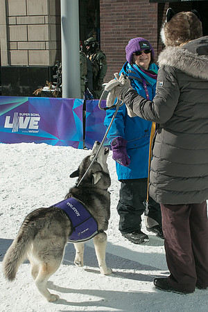 IMG-3250