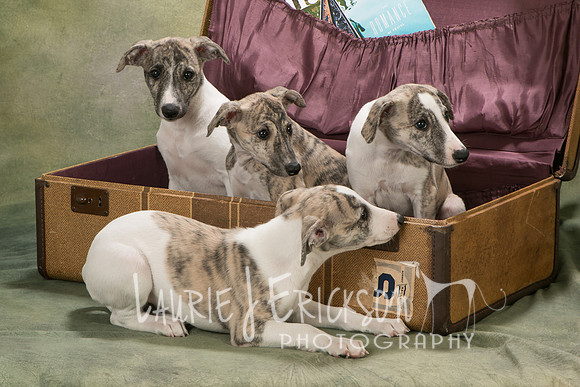 IMG_2801