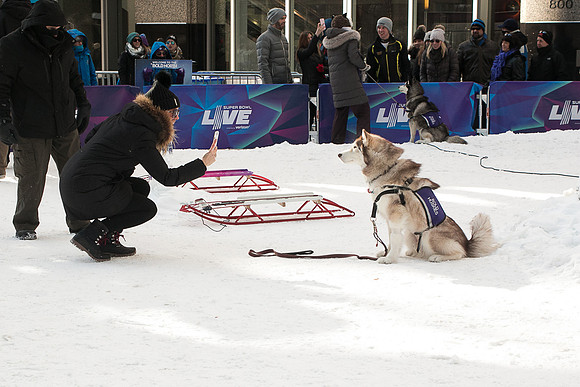 IMG-2968