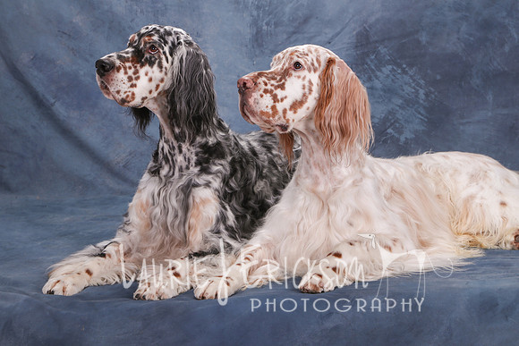 IMG_6719