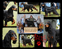 Lois3 smallest