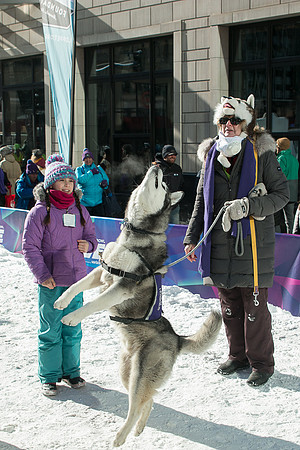 IMG-3379