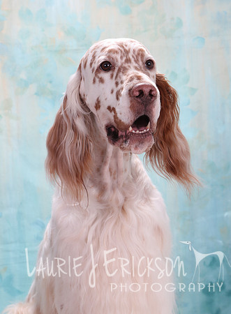IMG_6662