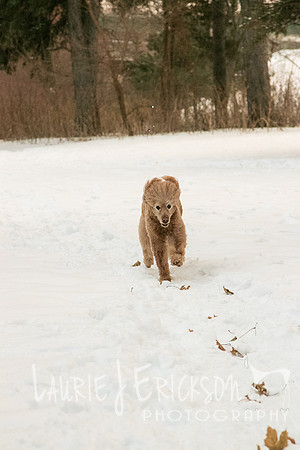 IMG-0147