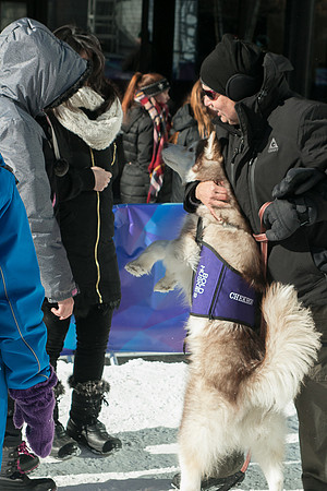 IMG-3384