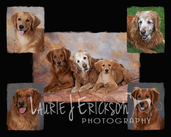 Selton collage-1a copy