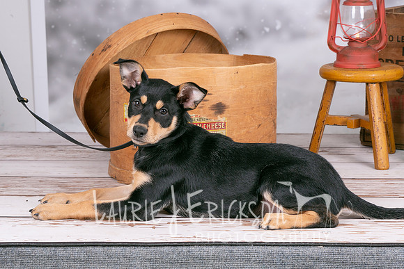 IMG_7715