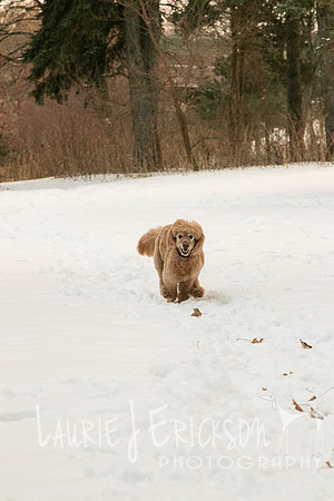 IMG-0145