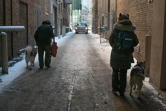 IMG-3471