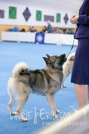 IMG_0044