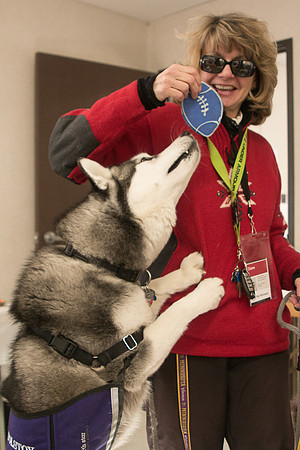 IMG-2789