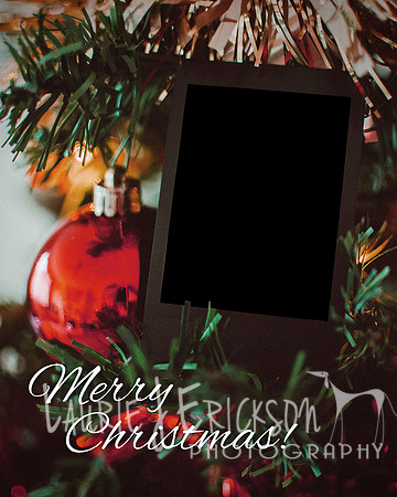 Photobacks Holiday Photo Template - Day 04
