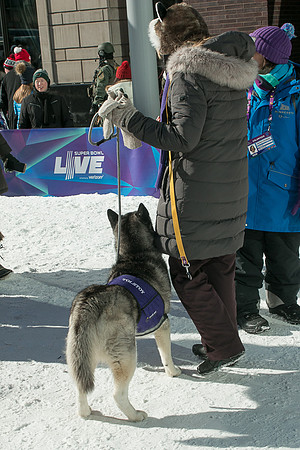 IMG-3251
