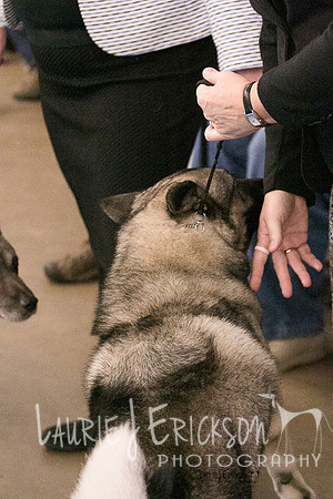 IMG-6626