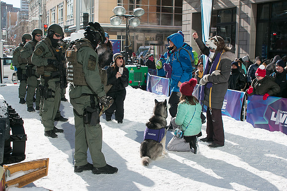 IMG-3391
