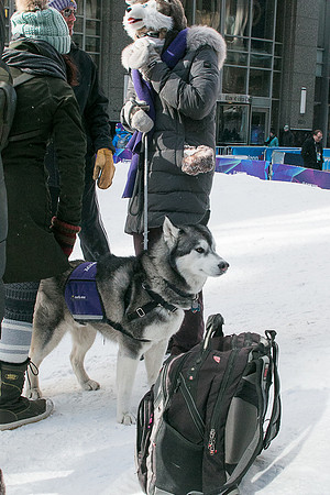 IMG-2903