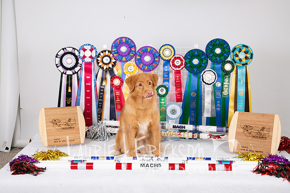 IMG_4257