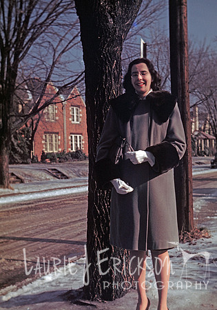 image-0024