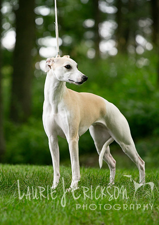 IMG_3802