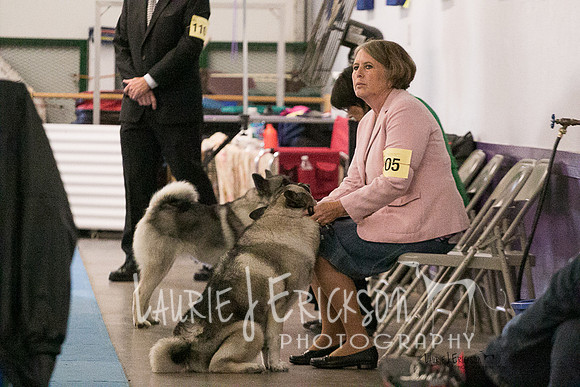 IMG-6263
