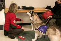 IMG-2786