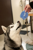 IMG-2791