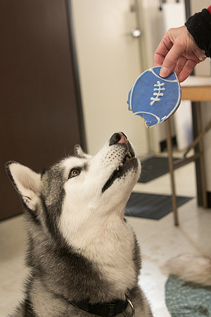 IMG-2791