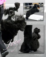 IMG_0788 copy 1