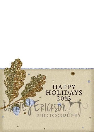 D565AN_57V copy