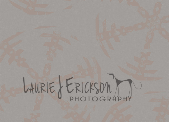 HS2-5x7-card-02-back