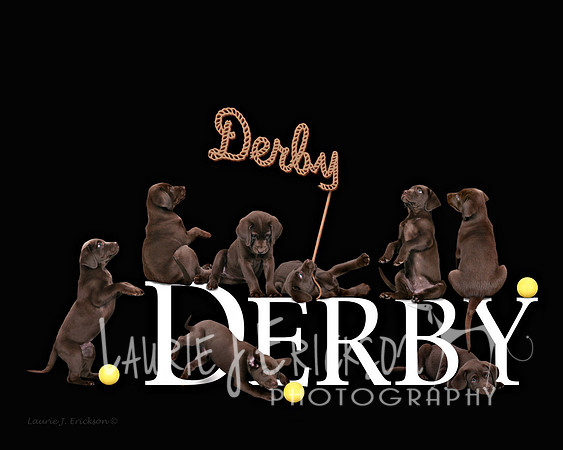 finalfinal derby copy-1