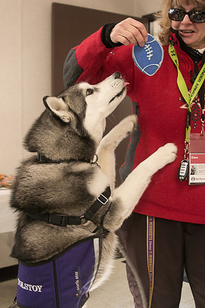IMG-2788